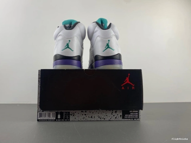 (2013) Jordan Retro 136027-108 Air Grape 5 0916
